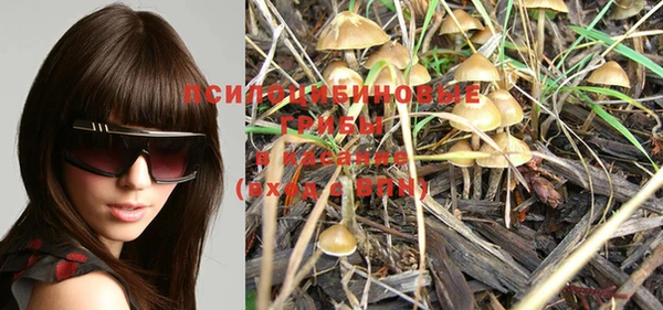 PSILOCYBIN Магадан