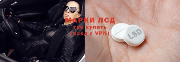 шишки Медногорск