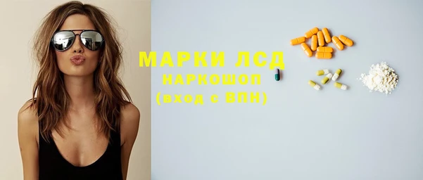 шишки Медногорск