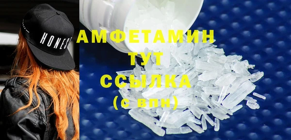 трава Медвежьегорск