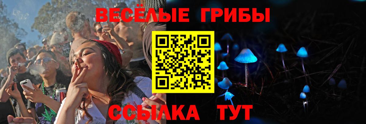 Галлюциногенные грибы MAGIC MUSHROOMS  Вход с VPN  Черногорск  Псилоцибиновые грибы MAGIC MUSHROOMS 